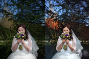 Свадебное фото