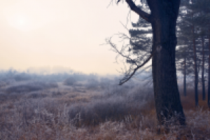 Фотосъемка