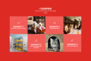 Лейдинг отеля для домашних животных