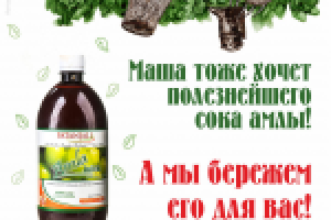 Работа 2952323