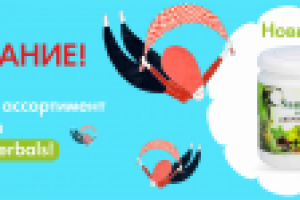 Работа 2952322