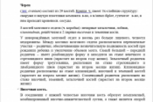 Лекции по анатомии: Кости черепа