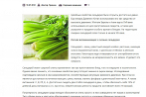 Народная медицина. Свойства сельдерея