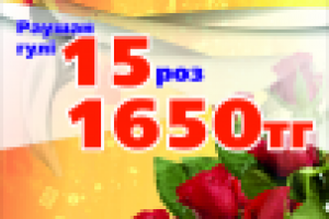 Работа 1739581