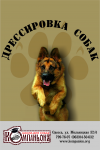 Работа 2663439