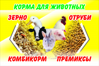 Работа 2955774