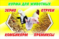img2955774.png