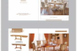 обложка + разворот буклета оримекс