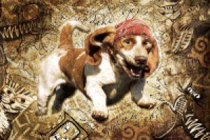 фотоколлаж