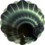 img2540617.png