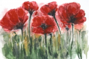 маки акварель