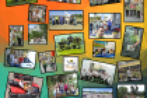 Коллаж для Леруа