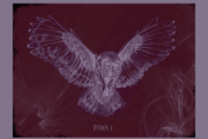 Работа 1488120