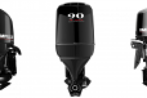 Работа 2202335