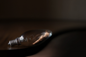 Дама в лампочке