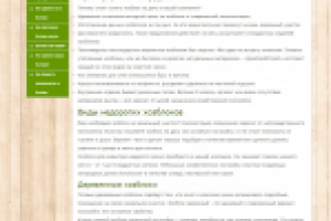 SEO-текст о хозблоках