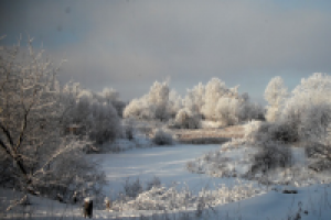 Зимняя сказка