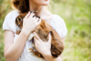 Работа 2912215