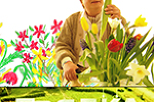 Промо программы ГРЯДКА