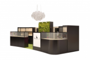 проект ювелирного магазина