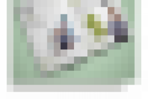 Брошюра Gusto