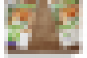 Еврофлаер для компании Qualiko