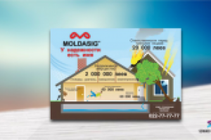 Наклейка для Moldasig 2