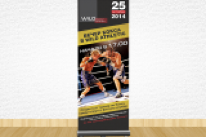 RollUp Вечер бокса