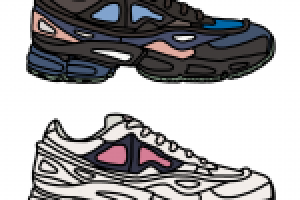 Raf Simons Ozweego 2