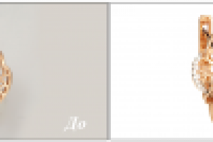 Ретушь ювелирного изделия