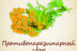 Работа 2934966