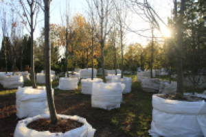 Видеосъемка садового центра на Рублевке