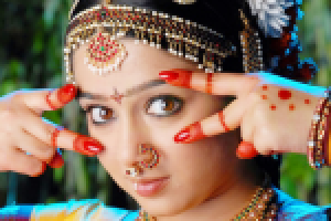 Новый год в индийском стиле