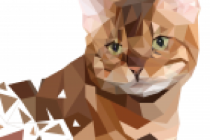 Портрет кота