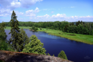 Работа 2922745