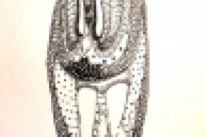 видео по ссылке в описании.микки