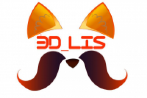 3d_lis