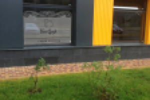 Дизайн витрин салона Ван Гог