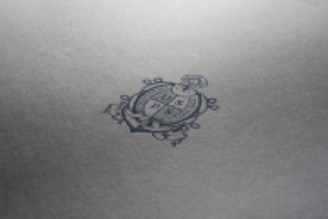 Ukranian Sea Port Service