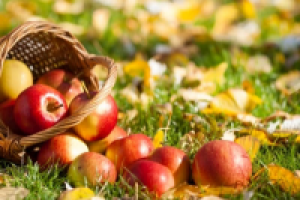 Мамы и дети: берем курс на суперпродукты лета