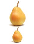 img1262089.png