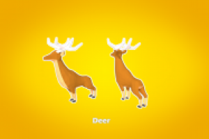 3D Model Deer