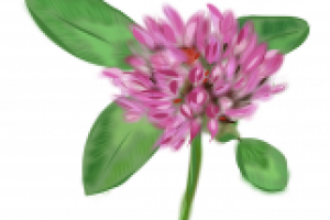 Работа 2528802