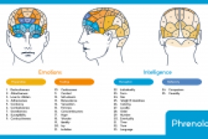 Работа 2707425