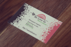 Работа 2707648