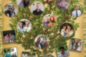 Работа 2707641