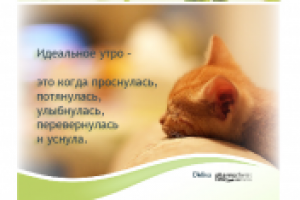 Работа 2707674