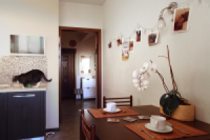 Работа 2529005