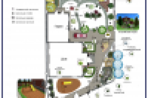 Дизайн участка