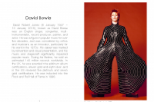 Вертска книги (образец)